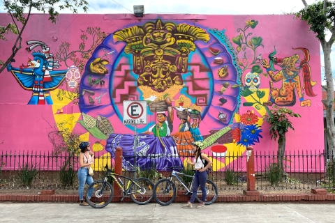 Oaxaca: Fietstour met straatkunstOaxaca: Street Art-fietstocht