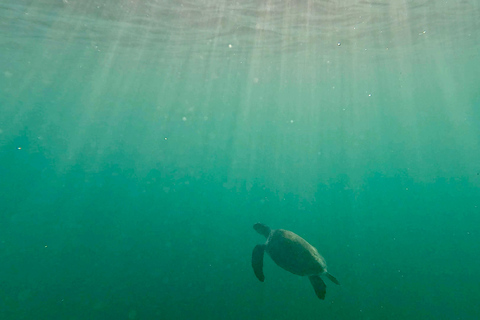 Ft Lauderdale: Combo Deal Snorkel Reefs, Kayak/SUP Mangroves