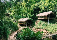 Full Day Tour in Sapa Trekking with Local guide - Housity