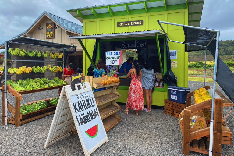 Oahu: randonnée dans le cratère de Diamond Head et expérience sur la côte nord