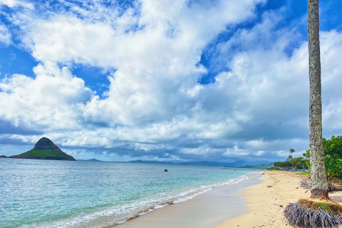 Oahu: Diamond Head Kraterwanderung und North Shore Erlebnis