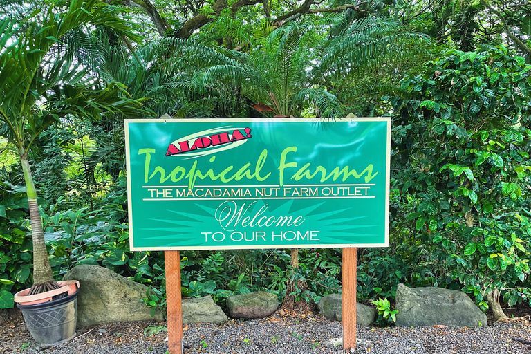 Oahu: randonnée dans le cratère de Diamond Head et expérience sur la côte nord