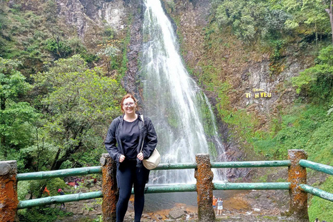 Chauffeured Ride to Silver and Love Waterfall, Lonely Tree