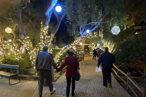 San Diego: Trolleytour met kerstverlichting en bezienswaardigheden