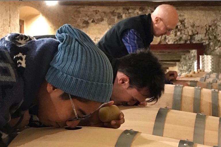 Salou: wycieczka po winnicach Priorat i Siurana z degustacją winaSalou: Priorat i Siurana Jeep Tour z degustacją wina