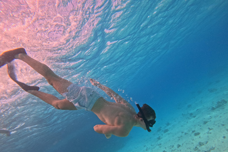 Hurghada or Makadi: Discover the Magic of Dolphin House Pick up from Makadi Bay - Dolphin House