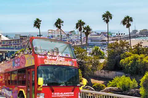 Los Angeles: City Sightseeing Hop-On Hop-Off Bus Ticket