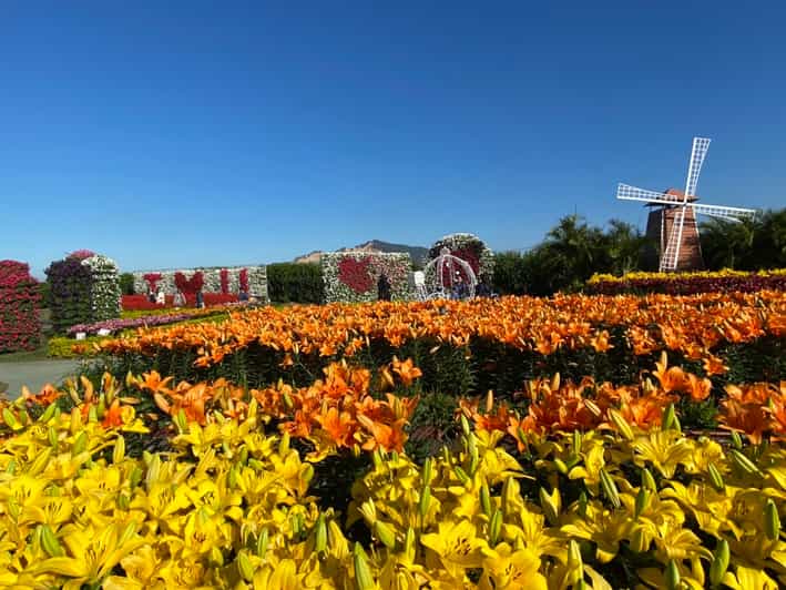 Dating myself in Taichung