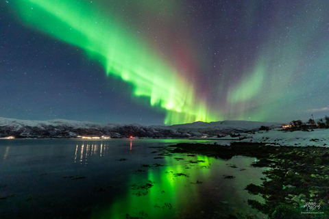 From Tromsø: Northern Lights Chase with Photos and Dinner