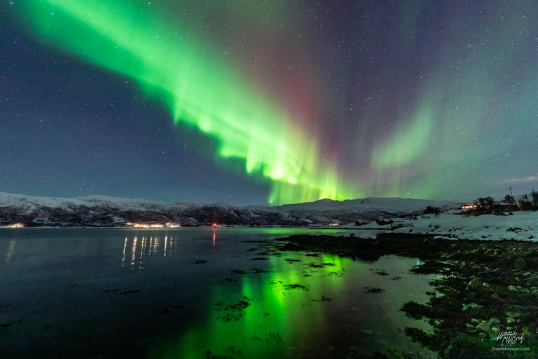 Depuis Tromsø : Chasse aux aurores boréales avec photos et dîner