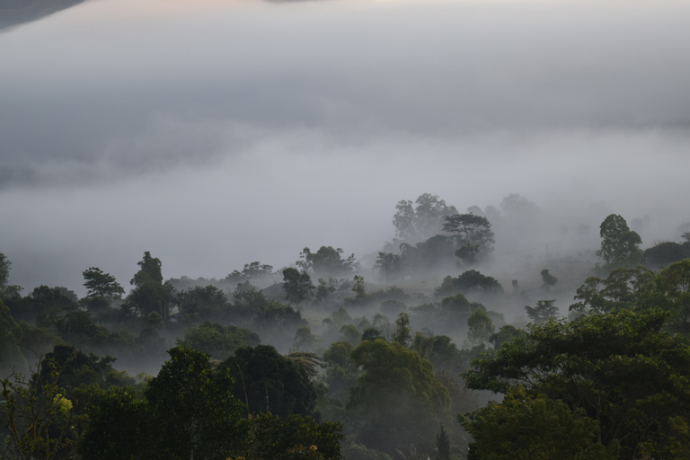 Ubud & Volcano Hot Springs Tours