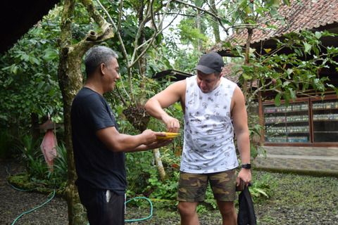 Ubud &amp; Volcano Hot Springs Tours