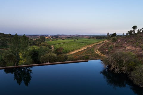 Portalegre: Quinta da Fonte Souto Tour and Wine Tasting