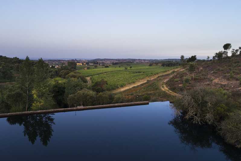 Portalegre: Quinta da Fonte Souto Tour and Wine Tasting