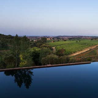Portalegre: Tour e Prova de Vinhos Quinta da Fonte Souto