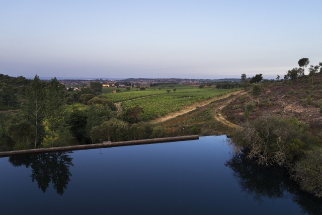 Visit Portalegre Quinta da Fonte Souto Tour and Wine Tasting in Vejer de La Frontera