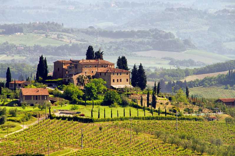 Depuis Rome : excursion en Toscane avec vin et déjeuner