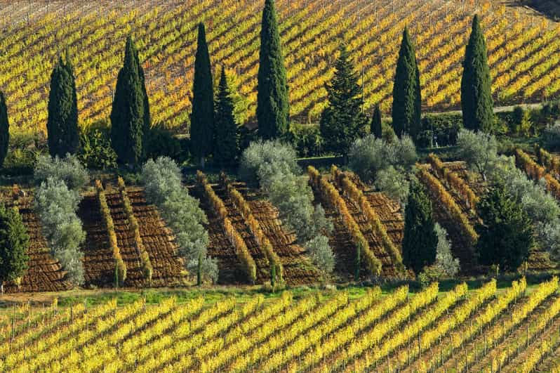 From Rome Tuscany Day Trip with Lunch and Wine Tasting GetYourGuide