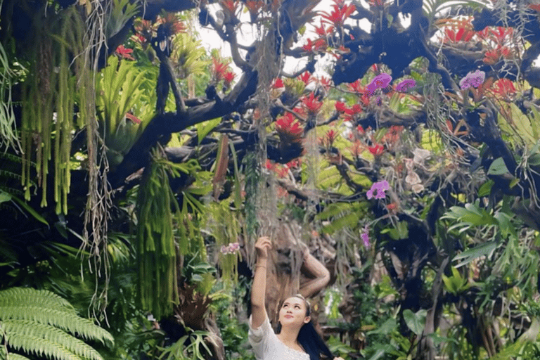 بالي: جولة في الجداريات التاريخية وحديقة الجنيات ومعبد كهف الخفافيش