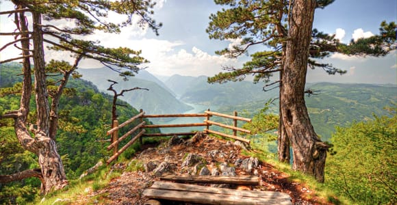 Serbien: Ganztagestour zum Drina-Flusshaus und zum Tara-Nationalpark