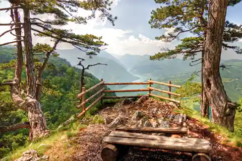 Serbia: Drina River House & Tara National Park Full Day Tour