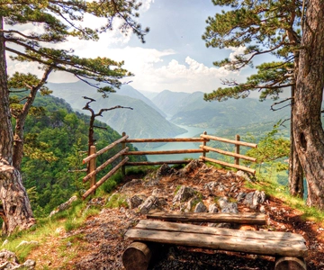 Serbia: Drina River House & Tara National Park Full Day Tour