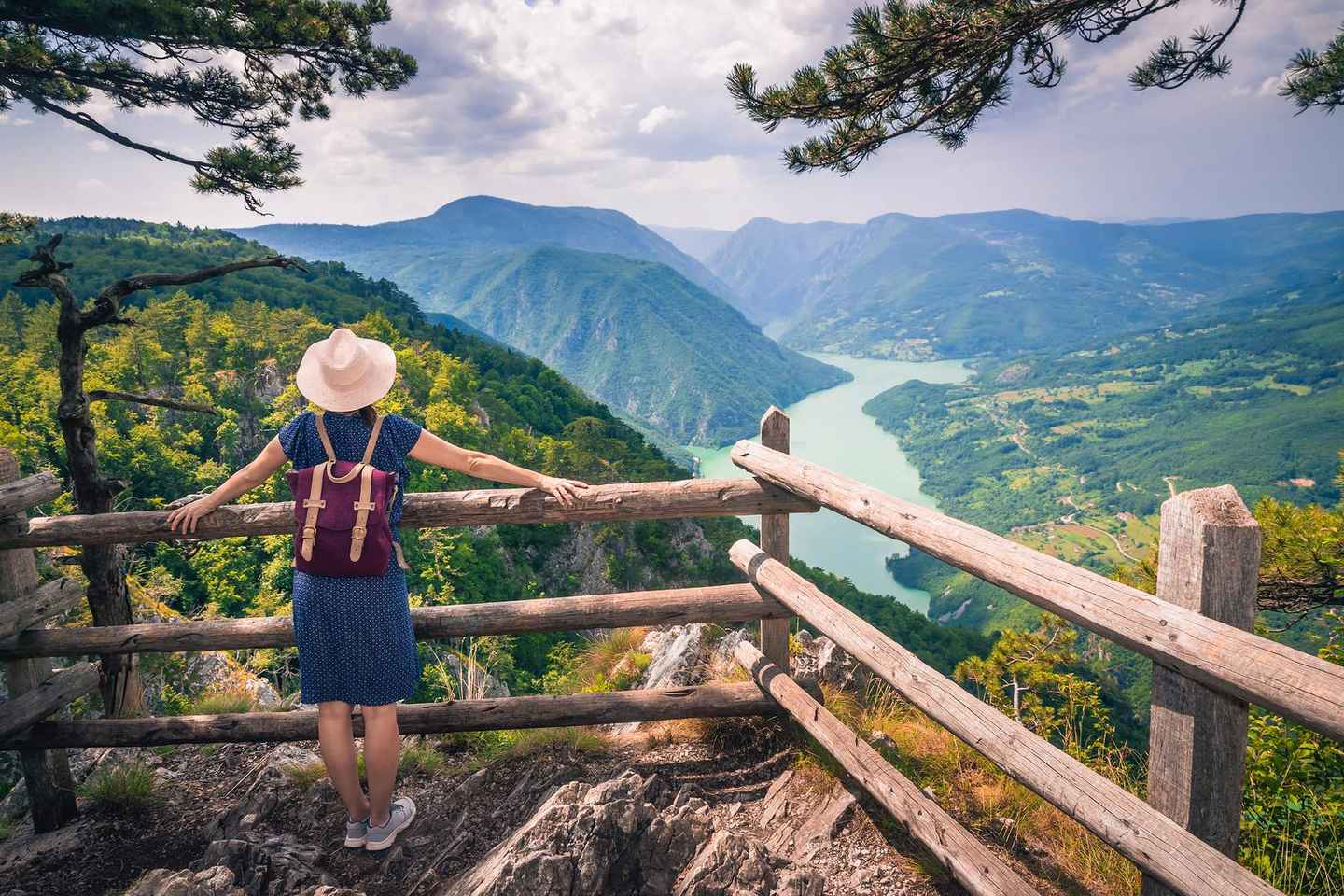 Serbia: Casa del Río Drina y Parque Nacional Tara - Tour de un Día Completo