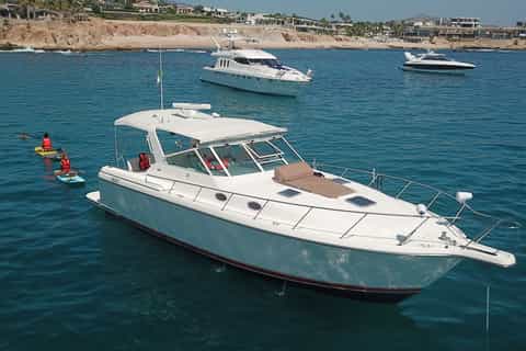 Cabo San Lucas: 4-Hour Private Yacht Adventure