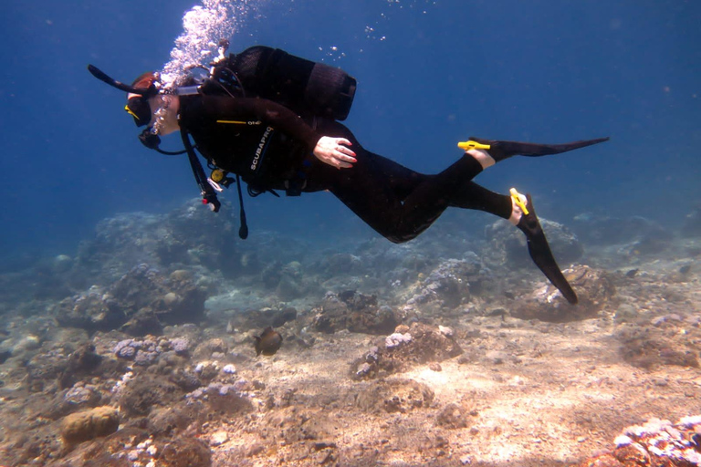 Blue Bay: Discover Scuba Diving