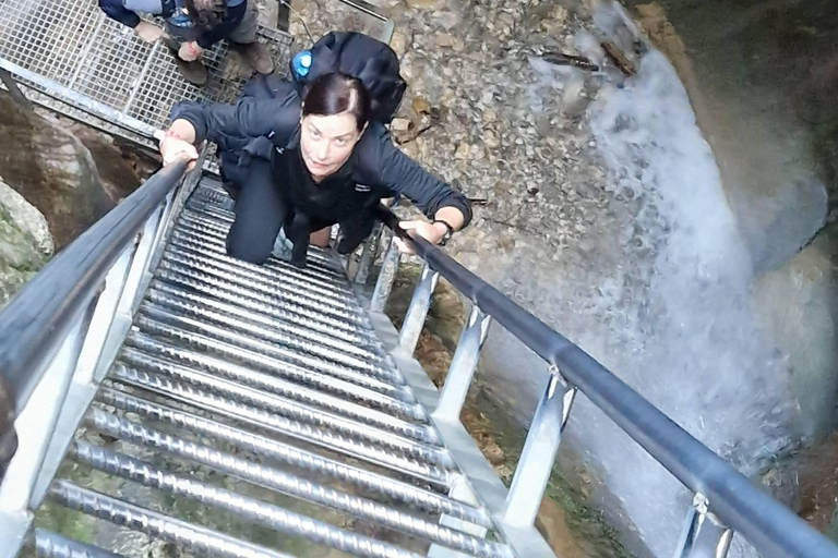 7 Ladders Canyon Hike & Optional Zip-line | From Brașov