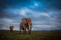 Von St Lucia, iSimangaliso Sunset Safari - Hizvo