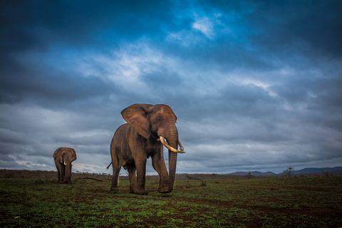 Vanuit St. Lucia: iSimangaliso Sunset Safari