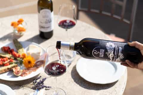 Montalcino: Wine Tasting with Snacks at Corte Pavone Winery