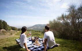Montalcino: Vineyard Picnic with a Bottle of Wine