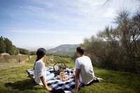 Montalcino, Picnic Vigneto con una bottiglia di vino - Hizvo