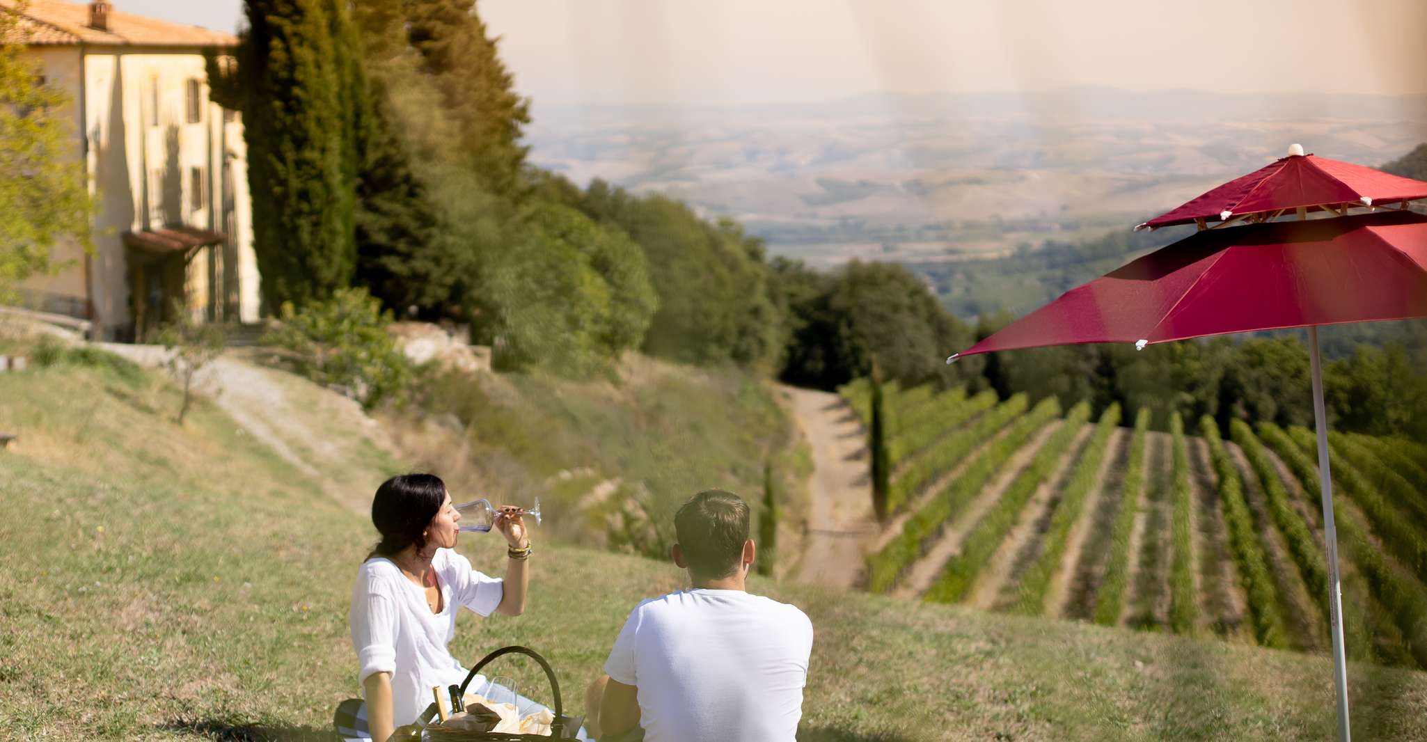 Montalcino, Vineyard Picnic with a Bottle of Wine - Hizvo