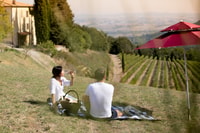 Montalcino, Picnic Vigneto con una bottiglia di vino - Hizvo