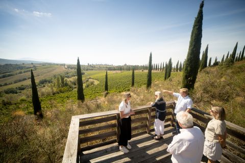 Montalcino: Guided Winery Tour and Wine Tasting
