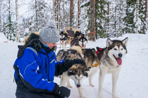 Rovaniemi: esperienza di guida autonoma di 1 ora con gli Husky in slittaSolo Drive (1 persona su slitta)