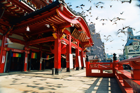 Osaka: Nagoya Day Trip with Nagoya Castle & Toyota Museum Shared Tour, Meet at Tsurutontan Soemoncho