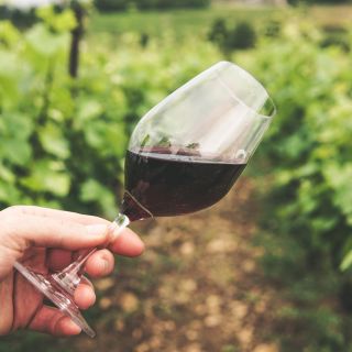 Certaldo: Chianti Vineyards-Tasting-Olfactory Experience