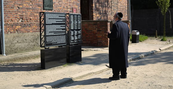 Ab Krakau: Tour nach Auschwitz-Birkenau mit Privattransfer