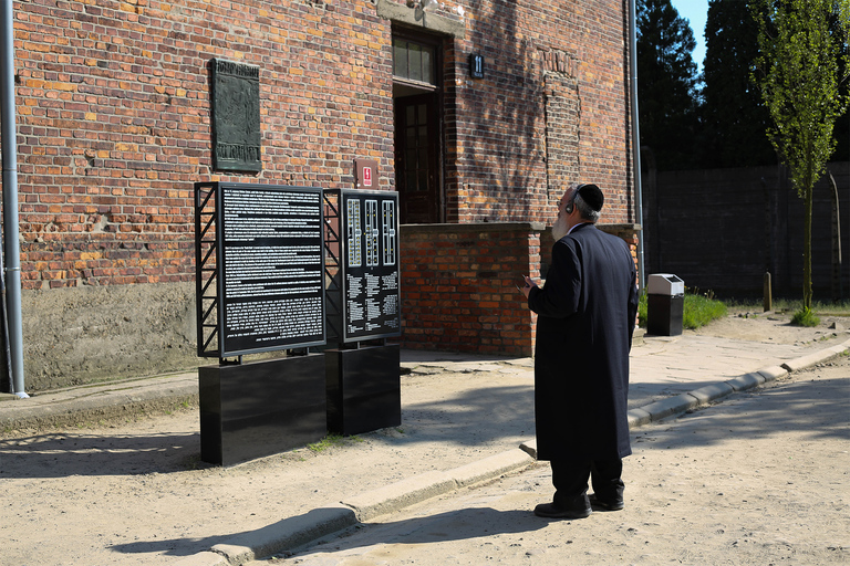 Au départ de Cracovie : Excursion d'une journée complète à Auschwitz-Birkenau avec transfert.Billet d'entrée et guide