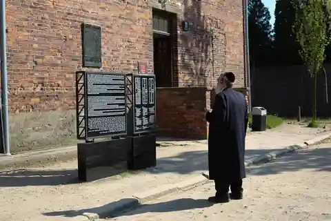 Desde Cracovia: Auschwitz-Birkenau Visita autoguiada de un día completo