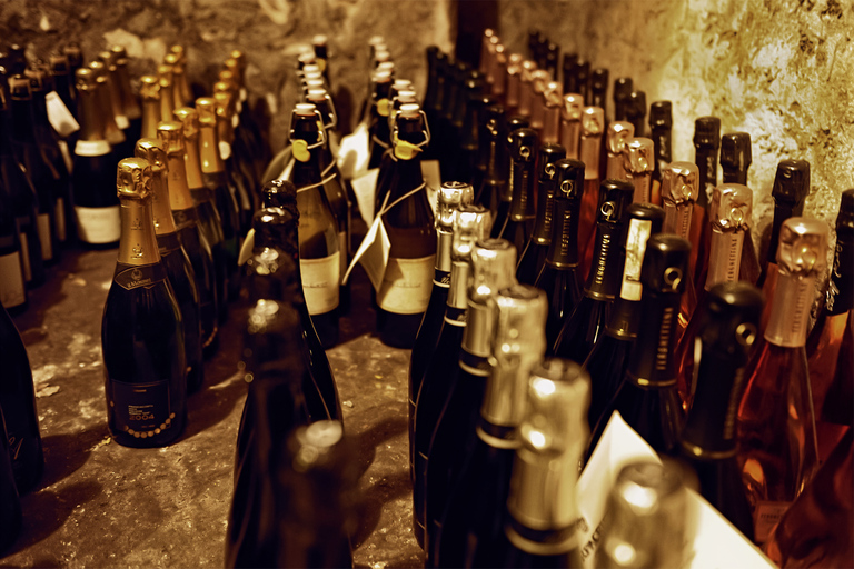 Rome: Guided Italian Wine Tasting Experience