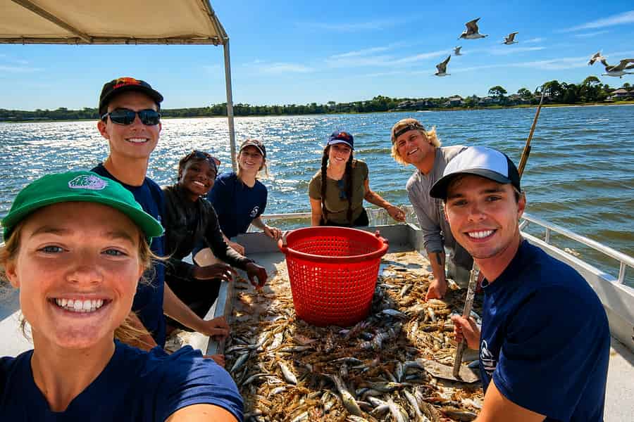 Hilton Head Island: Shrimp Trawling Boat Tour. Foto: GetYourGuide Hilton Head Island: Shrimp Trawling Boat Tour. Foto: GetYourGuide