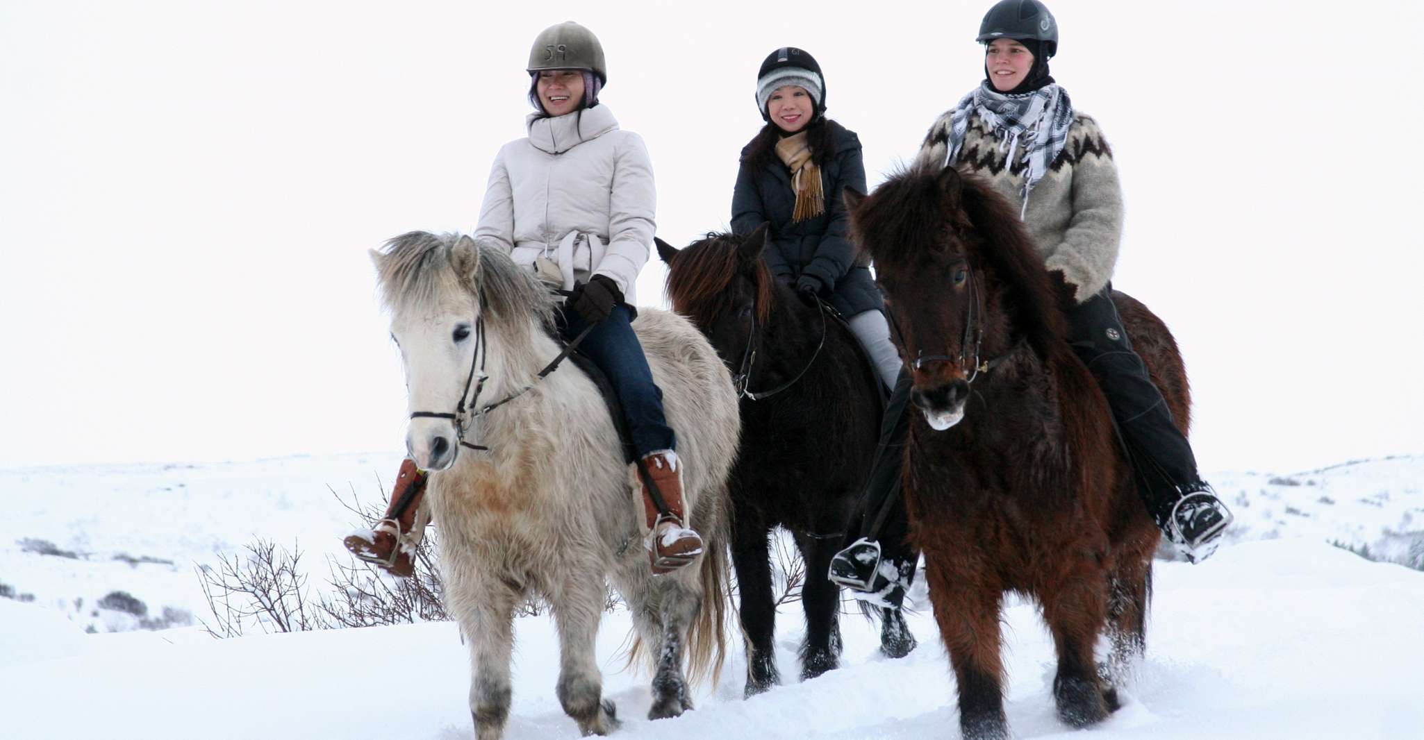 From Reykjavík, Icelandic Horse Riding Tour in Lava Fields - Housity