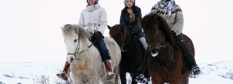 Islanda: escursione a cavallo tra i campi di lava