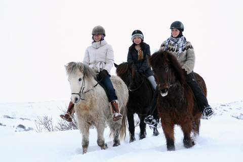 Tour en caballo islandés por los campos de lavaTour en caballo islandés por los campos de lava con recogida