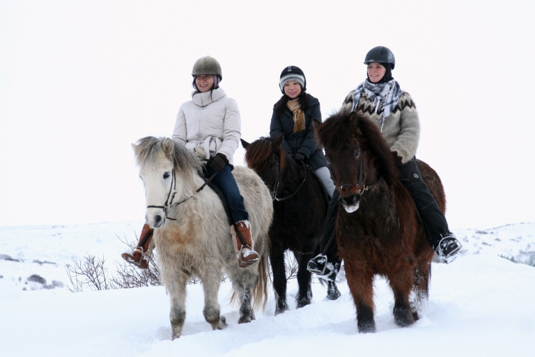 Tour en caballo islandés por los campos de lava